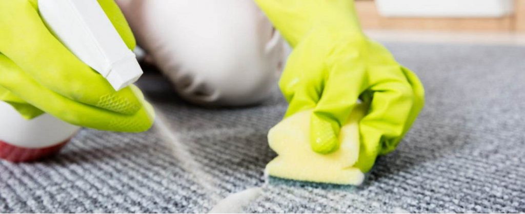 5-tips-for-keeping-light-coloured-office-carpets-clean
