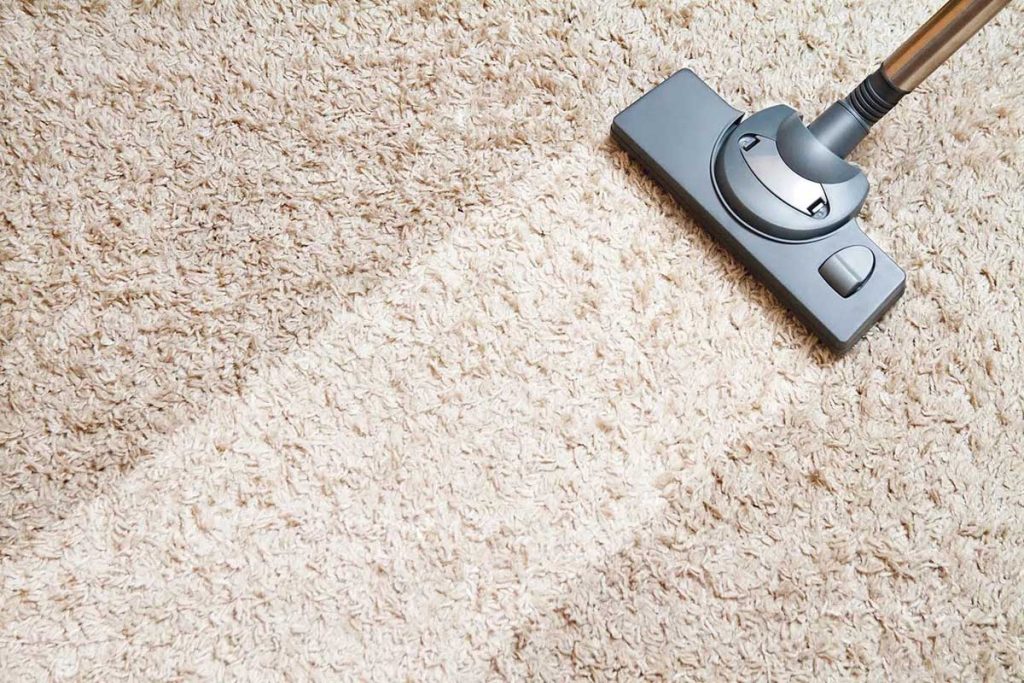 How to Choose the Right Carpet Cleaning Company