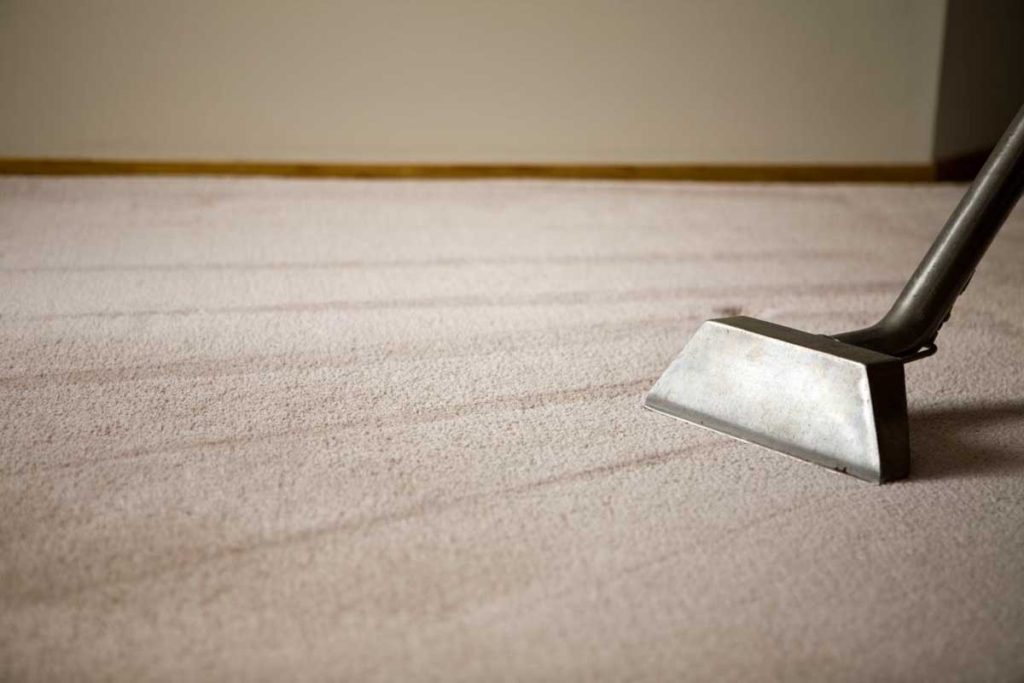 DIY Carpet Cleaning: A Comprehensive Guide