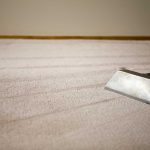 DIY Carpet Cleaning: A Comprehensive Guide