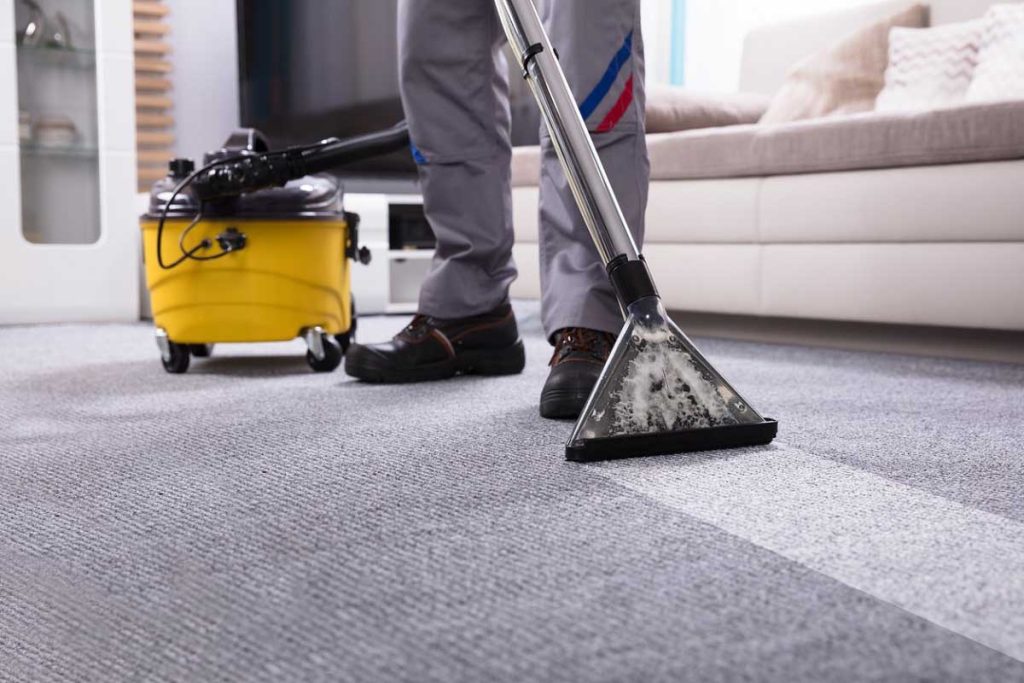 Carpet Cleaning Solutions: Everything You Need to Know