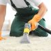 How to Get the Best Carpet Cleaning Results