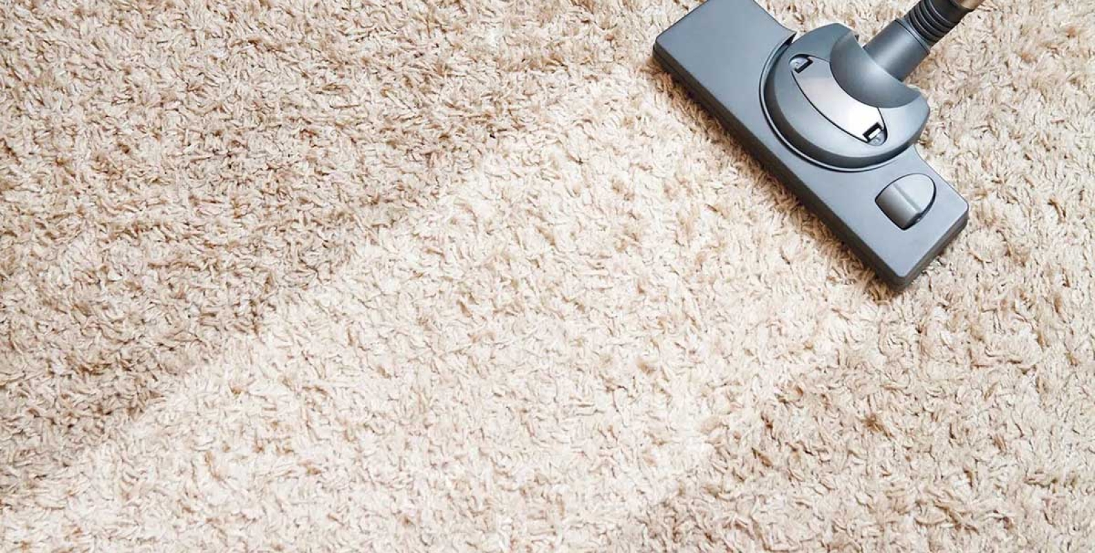 How to Choose the Right Carpet Cleaning Company Brilliance Carpet