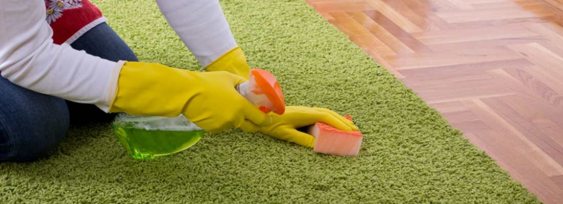 5 Benefits of Green Carpet Cleaning Brilliance Carpet Cleaning