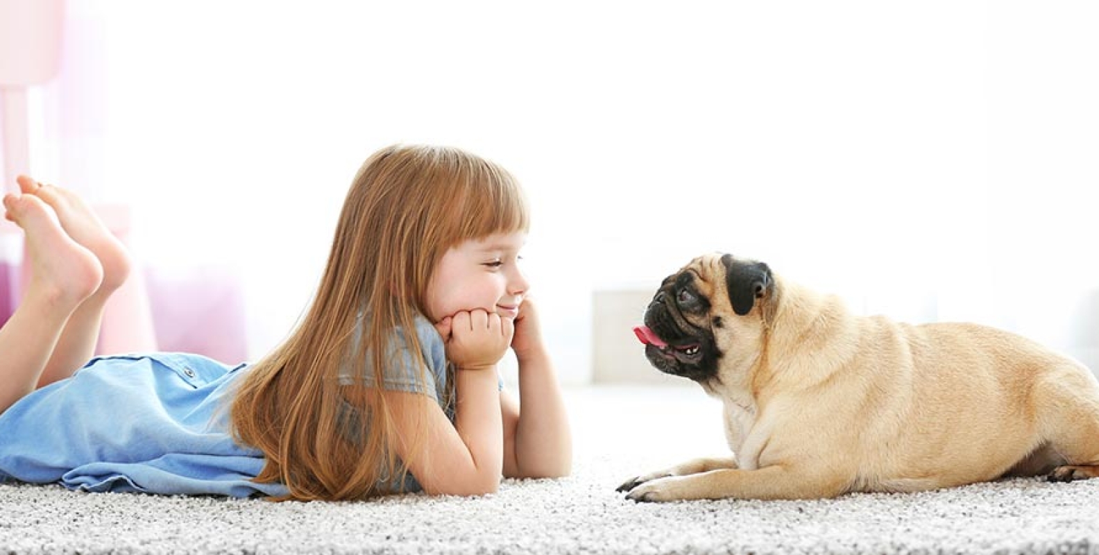 How Can a Professional Carpet Cleaner Help With Pet Stains